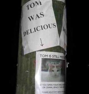 Tom was delicious
